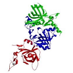 Image of CATH 3ebe