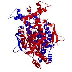 Image of CATH 3ebf