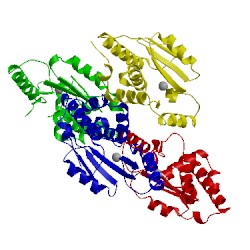 Image of CATH 3ebj