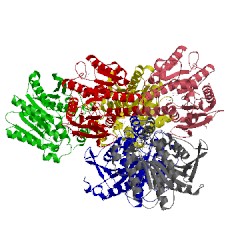 Image of CATH 3ebl