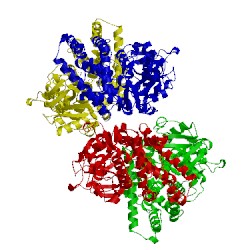 Image of CATH 3ebs