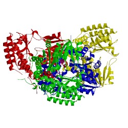 Image of CATH 3ecd