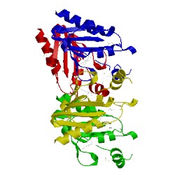 Image of CATH 3ecf