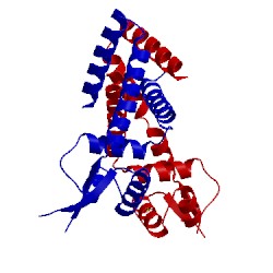 Image of CATH 3eco