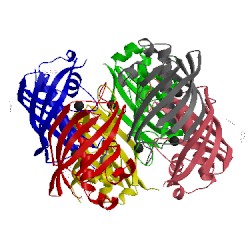 Image of CATH 3ed0