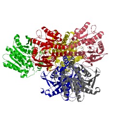 Image of CATH 3ed1
