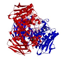 Image of CATH 3edf