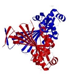 Image of CATH 3edp