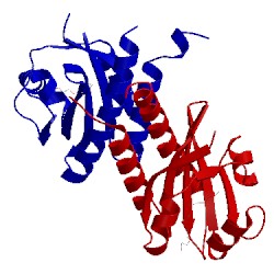 Image of CATH 3eea
