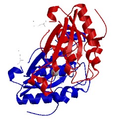 Image of CATH 3eef
