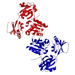 Image of CATH 3eeq