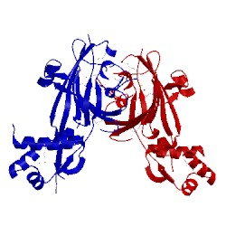 Image of CATH 3eet