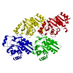 Image of CATH 3efb