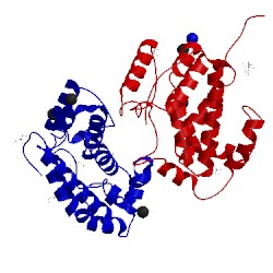 Image of CATH 3efp