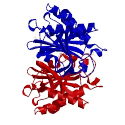 Image of CATH 3efr
