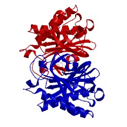 Image of CATH 3efs