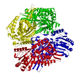 Image of CATH 3efv