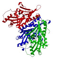 Image of CATH 3eh8