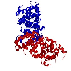 Image of CATH 3eij