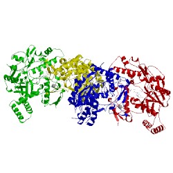 Image of CATH 3ej8
