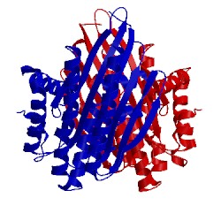 Image of CATH 3ejo