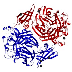 Image of CATH 3elq