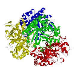 Image of CATH 3em5