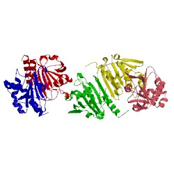 Image of CATH 3emp