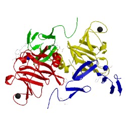 Image of CATH 3ens