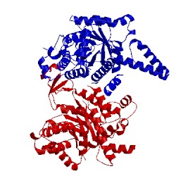 Image of CATH 3eol