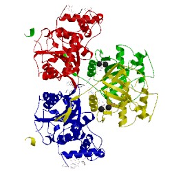 Image of CATH 3erc