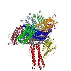 Image of CATH 3erz