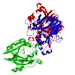 Image of CATH 3esh