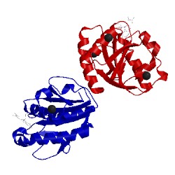 Image of CATH 3esx