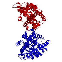 Image of CATH 3et2