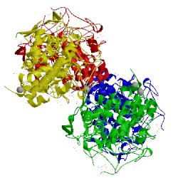 Image of CATH 3eu8