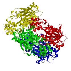 Image of CATH 3euq