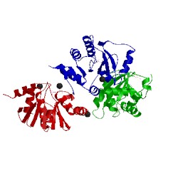 Image of CATH 3ew5