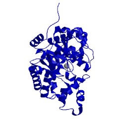 Image of CATH 3ewd