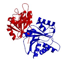 Image of CATH 3ewp