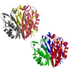 Image of CATH 3f0d