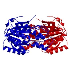 Image of CATH 3f1l