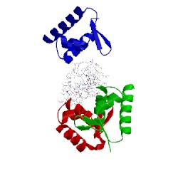 Image of CATH 3f23