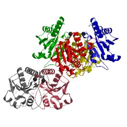 Image of CATH 3f2i