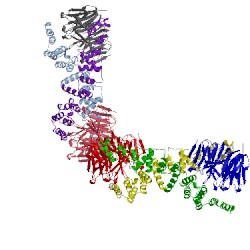 Image of CATH 3f3g