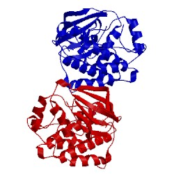 Image of CATH 3f3v