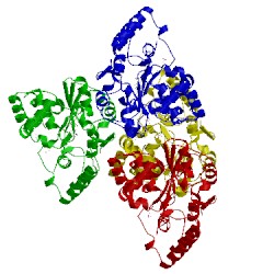 Image of CATH 3f3y