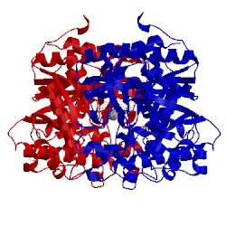 Image of CATH 3f5j