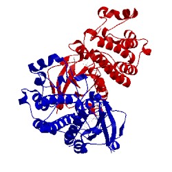 Image of CATH 3f66