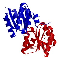 Image of CATH 3f6c